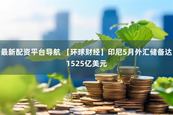 最新配资平台导航 【环球财经】印尼5月外汇储备达1525亿美元