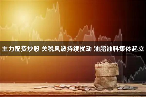 主力配资炒股 关税风波持续扰动 油脂油料集体起立